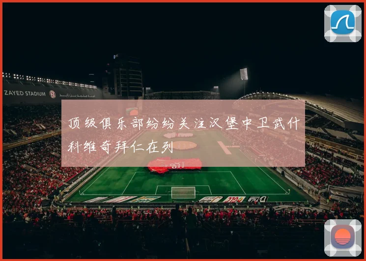 顶级俱乐部纷纷关注汉堡中卫武什科维奇拜仁在列