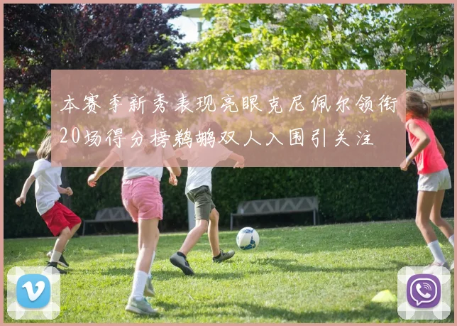 本赛季新秀表现亮眼克尼佩尔领衔20场得分榜鹈鹕双人入围引关注