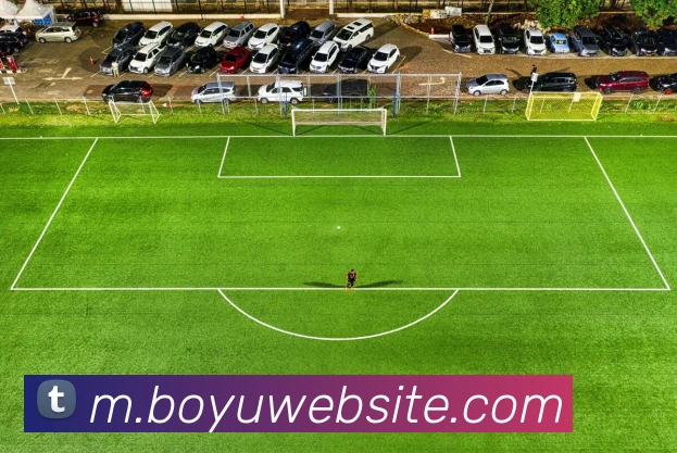 博鱼体育平台生态图