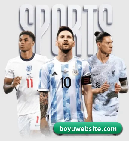 五个功能入口,赛程查询路径更短 - 多运动项目内容板块（BOYUSPORTS）